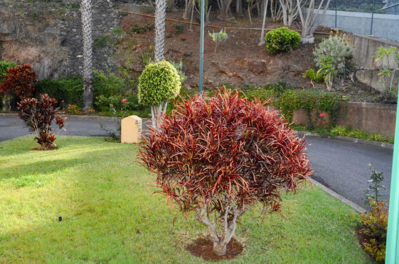 Vista Formosa Funchal Leilighet Eksteriør bilde